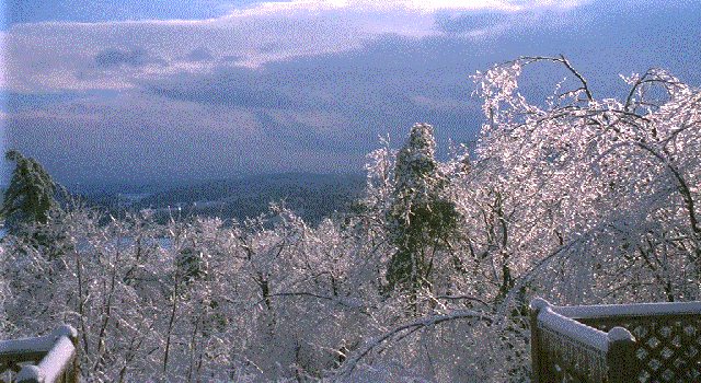 Our view of the Ice Storm